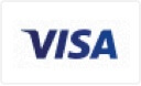 Bandeira cartão VISA